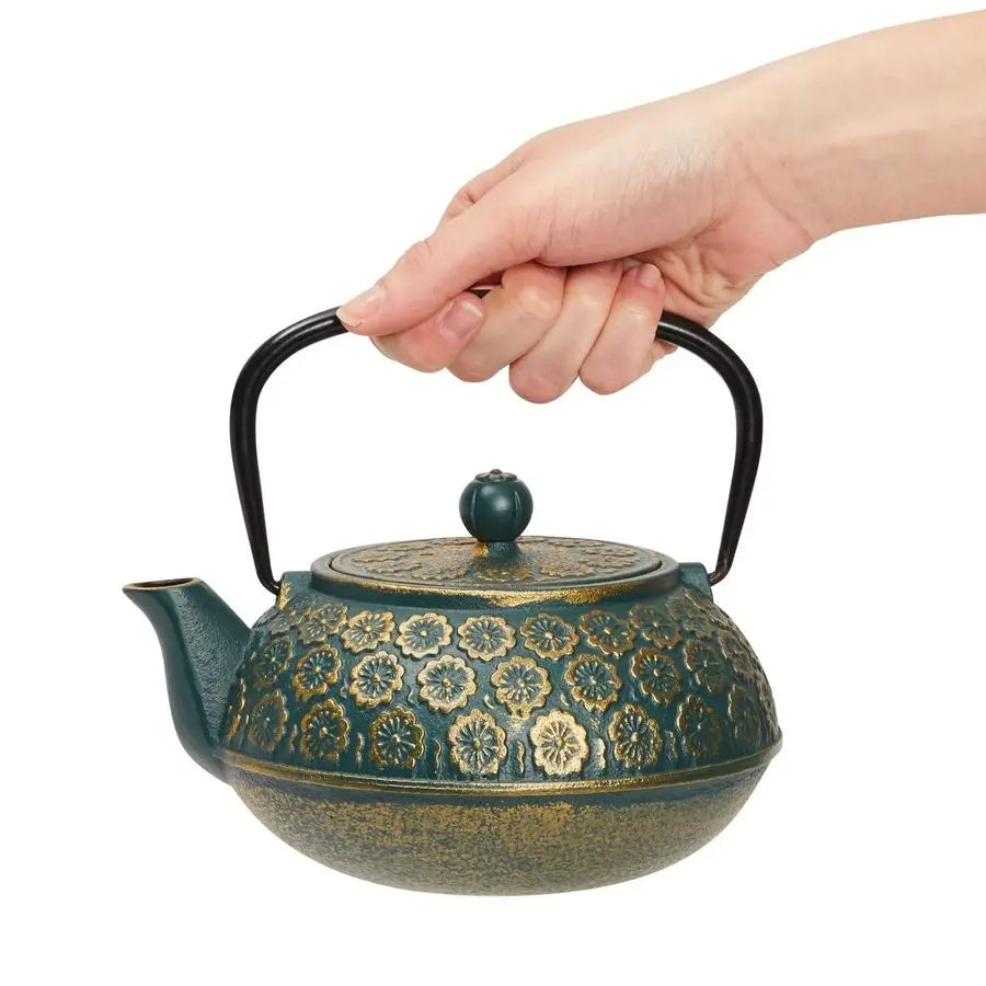 Cast Iron Tea Kettle with Infuser